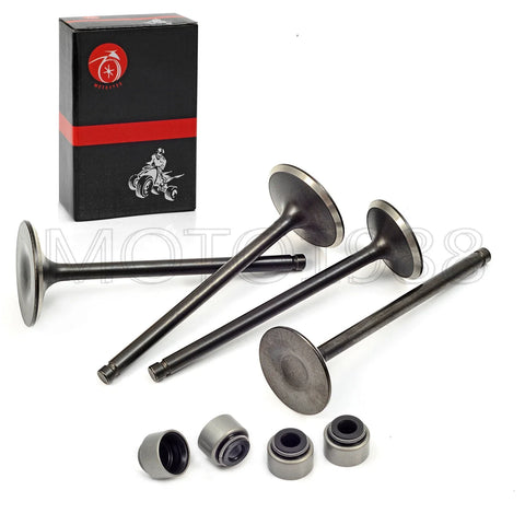 Polaris Predator 500 Outlaw 500 Intake & Exhaust Valve Seals (2003-2007)