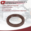 Ford Mazda (No. 31370461) Rear Crankshaft Oil Seal (2000-2023)