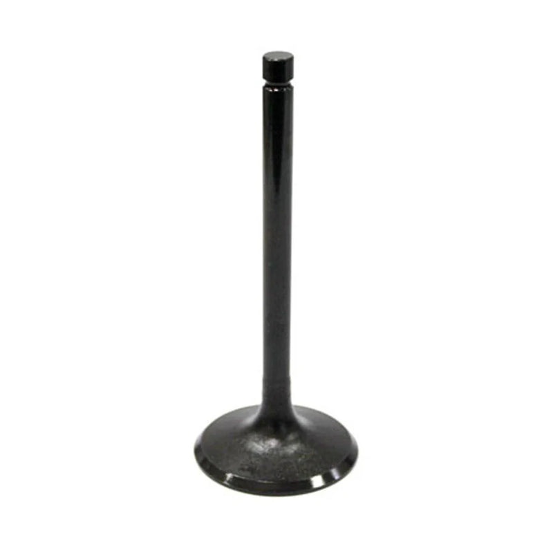 Kawasaki Bayou 220 & Bayou 250 Intake Valve