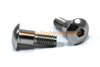 Suzuki GSX-R1000 K5 K6 K7 2 x Inox Seat Bolts Rear Fork Head