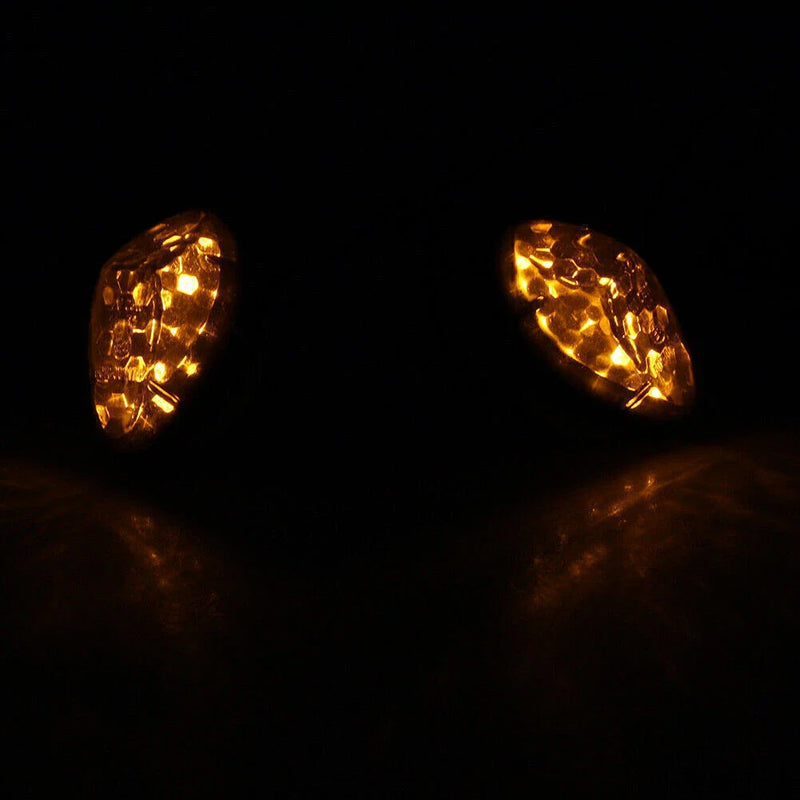 Honda CBR 600 1000RR CBR954 CBR929 Turn Signal Lights (2002-2013)