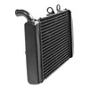 Honda Silverwing 600 FSC600 Radiator Cooler (2002-2013)