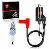 Honda CR80R / CR85R (1987-2007) Expert Ignition Coil & Spark Plug