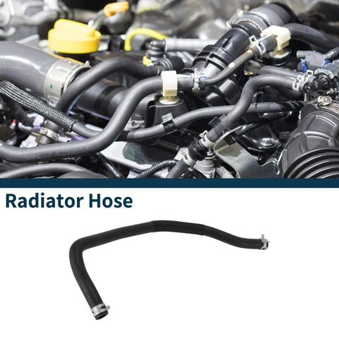 Ford EcoSport Radiator Hose (2014)