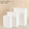 Holiday Wedding Birthday Party Recyclable Kraft Gift Bag