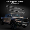 Dodge Challenger Rear Trunk Rear Hatch Lift Supports Struts