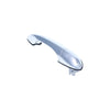 BMW X5 E53 Left Front Chrome Outer Door Handle (2000-2006)