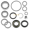 Honda Rancher 420 Rear Differential Bearings Seals (2007–2013)