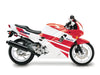 Honda CBR 600 F2 Stainless Fairing Bolts & Dzus Studs (1991–1994)