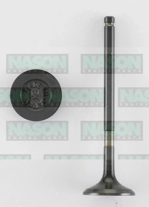 Holden Cruze JH Exhaust valve 2.0L (2011–2015)