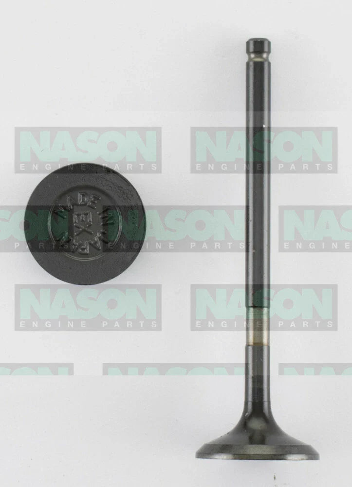 Holden Cruze JH Exhaust valve 2.0L (2011–2015)
