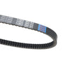 Linhai Hytrack 260 / 300 / 370 / 400 Timing Belt (2005-2023)