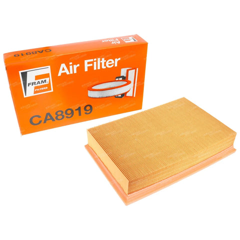 Nissan Navara D40 2.5L Air Filter (2005 - 2015)