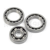 Honda TRX 300 Fourtrax Rear Differential & Axle Bearing & Seal Kit (1988–2000)