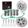 Yamaha Raptor 700 Clutch Kit Springs & Pressure Plate (2006–2015)