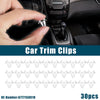 Toyota Lexus Interior Trim Retainer Fitting Fastener Clip 30Pcs