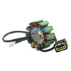 TM Racing MX250 MX300 2010-2019 () Stator Coil
