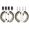 Suzuki King Quad 250 300 Brake Shoes Springs Pins (1991–1998)