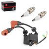 Yamaha Outboard Ignition coil & Spark Plug