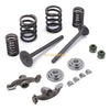 Honda XR75 XR80 XR100 XR80R XR100R Intake/Exhaust Valves with Seals Spring