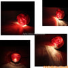 MZ ETZ 150 250 251 Tail Light Filaments (1980-1990)
