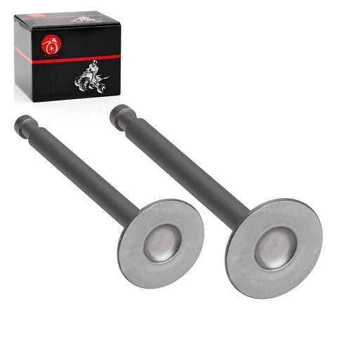 Club Car 4-Cycle Gas Golf Cart 341cc Exhaust + Intake Valve