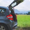 Subaru Rear Tailgate Lift Supports (2010-2014)