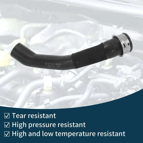 Porsche 718 Boxster Downpipe Radiator Hose (2017-2024)