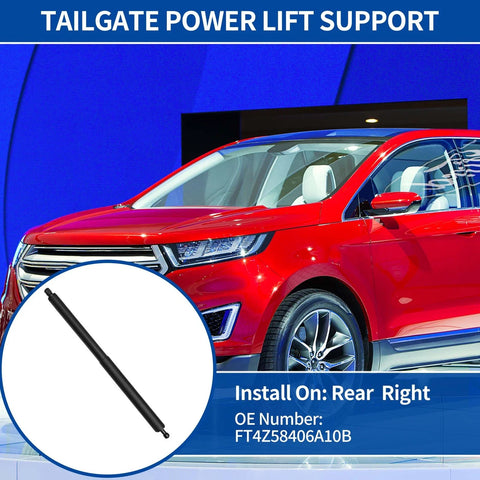 Ford Edge Rear RH Tailgate Lift Support (2015-2018)