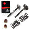 Club Car DS Precedent FE290 Intake/Exhaust Valve Replacement (1992–2023)