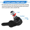 Ford Focus 2 x Front Lower Ball Joints (2004-2011)