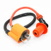 150cc 250cc PIT Quad Dirt Bike ATV Ignition Coil Spark Plug Lead