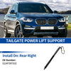 BMW X3 G01 F97 Rear RH Tailgate Lift Support (2018-2020)