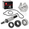 Yamaha YFZ450 Water Pump Seal Impeller Shaft Bearing Repair Kit (2004–2013)