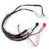 Chinese ATV UTV GoKart Taotao 50CC-125CC Electric Wiring Harness