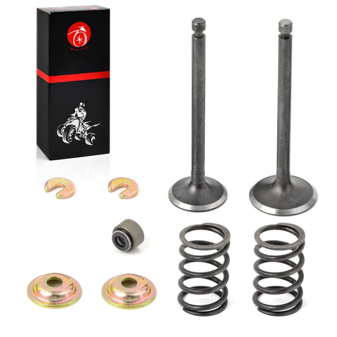 Intake Exhaust Valve & Seal SPRING Yamaha G2 G14