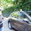 All Vehicles Brush 10 Inch Bi Level Nylon Car Wash