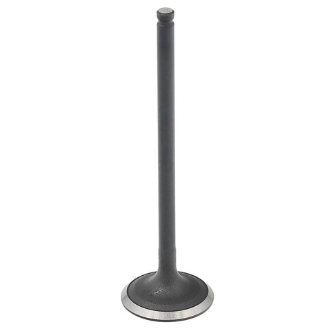 Suzuki Eiger Engine Exhaust Valve 2x4 & 4x4 (2002–2007)