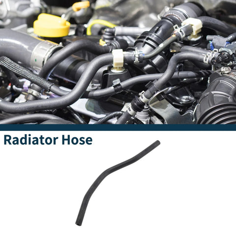 Chevrolet Cruze 1.6L Radiator Hose (2009 - 2011)