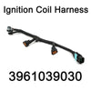 Hyundai Santa Fe, Kia Amanti Ignition Coil Wire Harness (2001-2006)