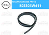 Nissan Glass run rubber-front door, RH