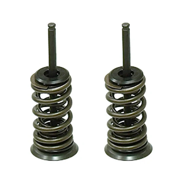 Honda TRX450R / TRX450ER Sportrax Exhaust Valve (2006–2014)