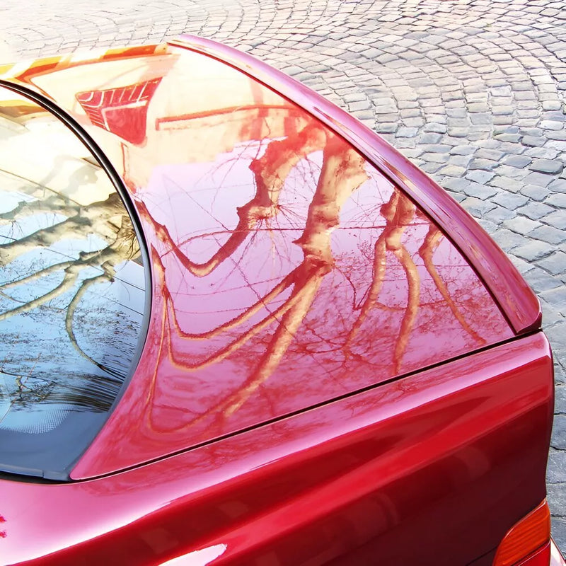 Ford Thunderbird M6640 Boot Spoiler