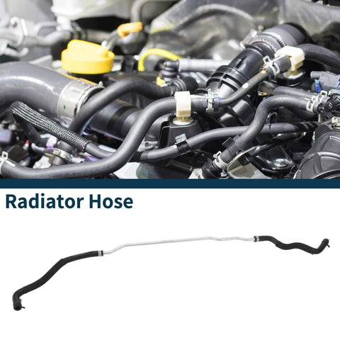 Ford Taurus 2.0T Radiator Hose (2015)