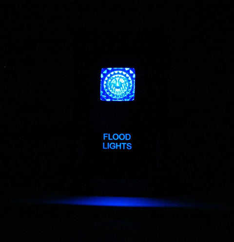 Dual LED Backlit Flood Lights