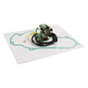450 SXS-F, SX-F, 505 Alternator Stator, Ignition Cover Gasket (2007-2012)