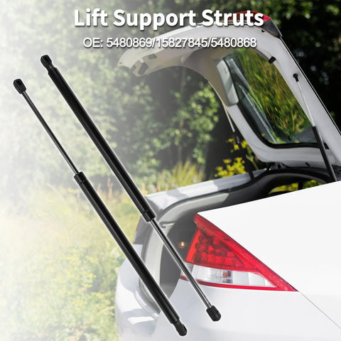 Chevrolet Equinox Rear Hatch Lift Supports Struts