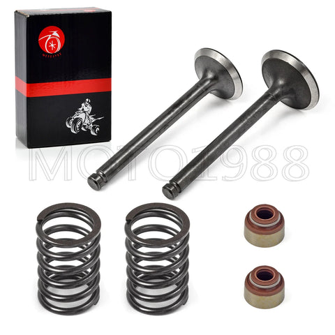 Club Car DS 1992-Up FE290 Intake Exhaust Valve Set w/ Seals & Springs