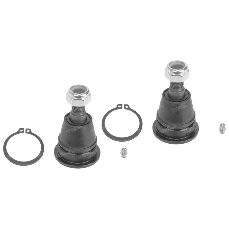 Pintara + Skyline R31 Nissan RWD Lower Ball Joints (1986-1990)