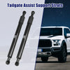 Ford F150 Rear Tailgate Lift Support Struts (2015-2020)